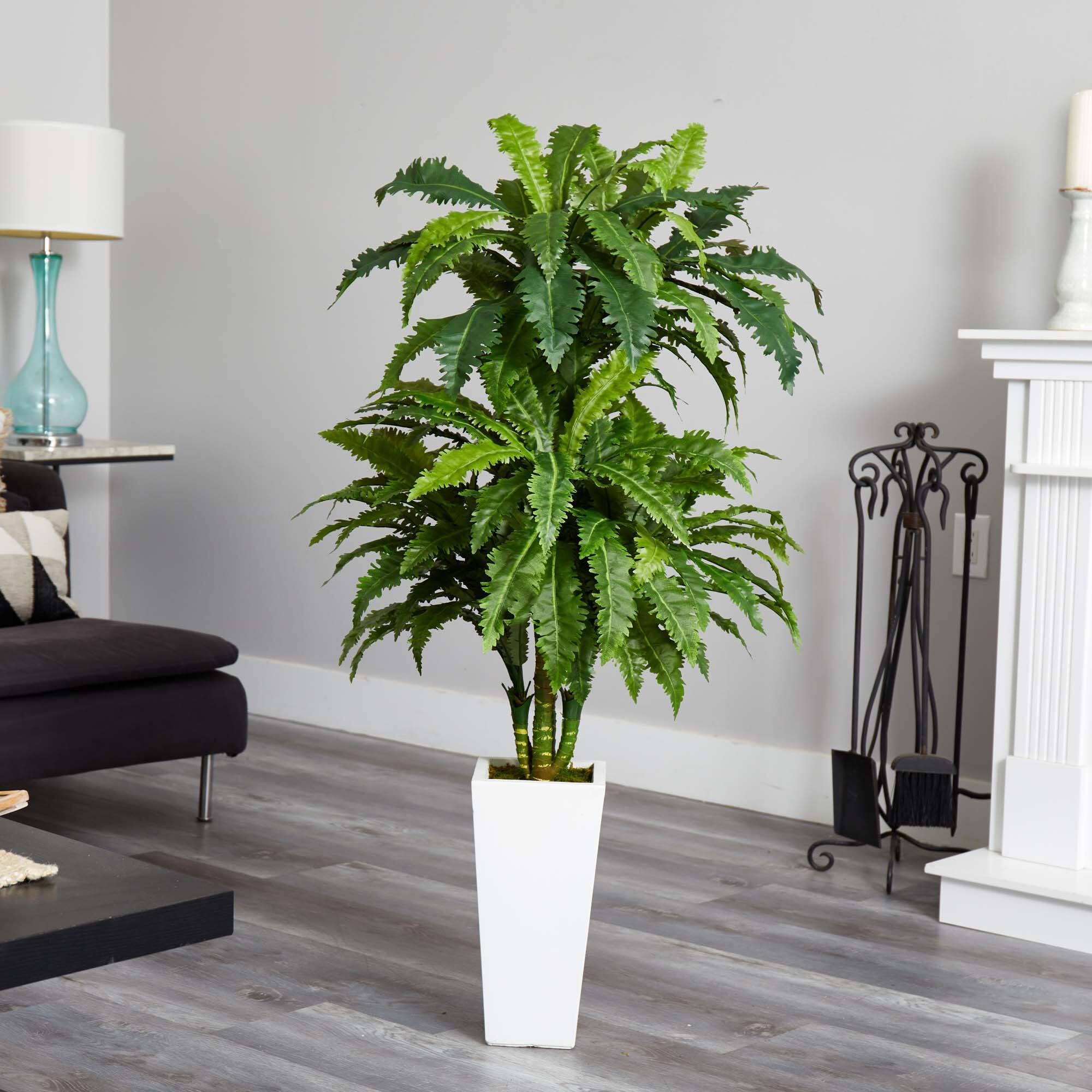 4ft. Marginatum in White Tower Vase